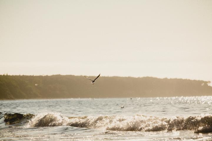 Wassersport vor der Küste im Seebad Warnemünde TMV Bildertool